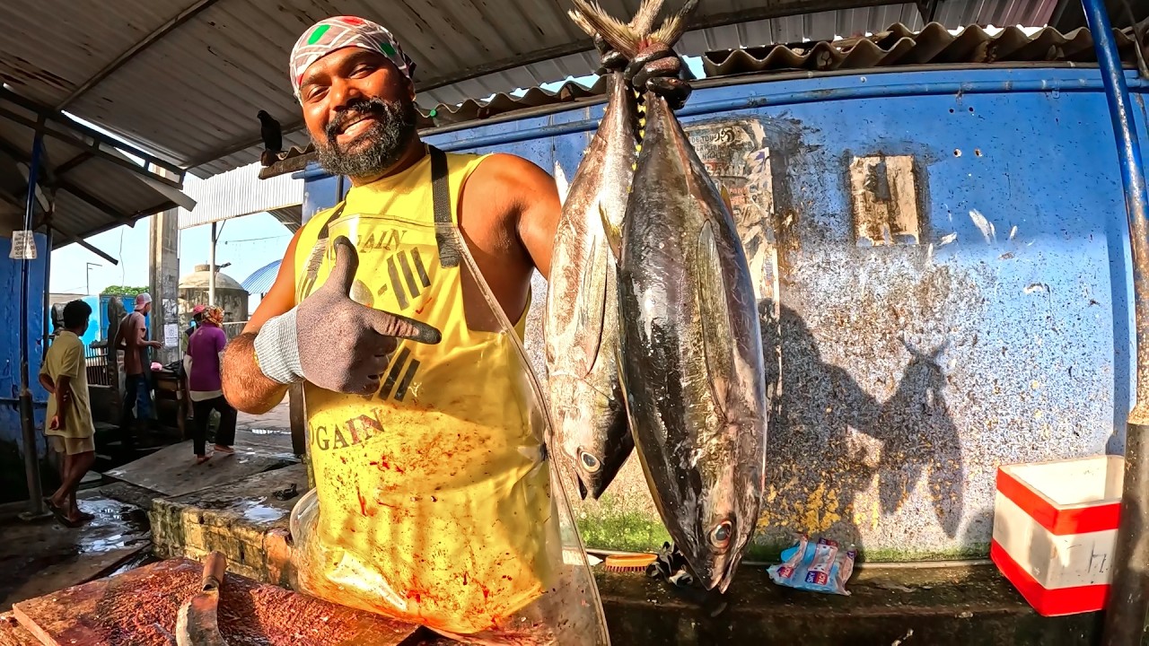 Fresh Tuna Fish Cutting | From Market to Perfect Portions