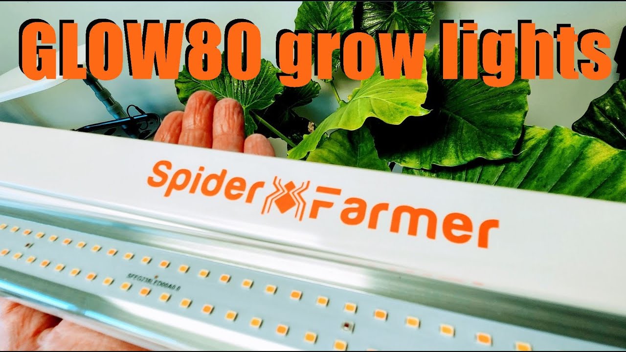 SPIDER FARMER GLOW80 LED GROW LIGHTS