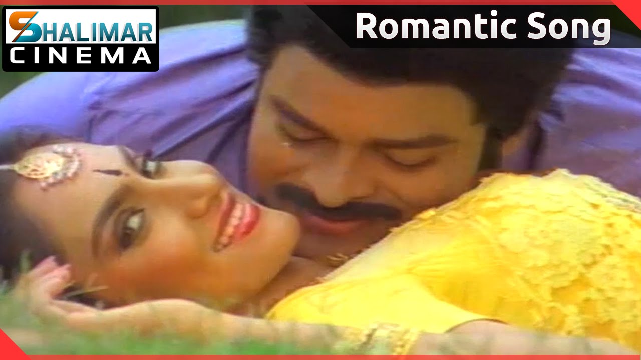 Donga Mogudu Telugu Movie || Ee Chempaku Selaviyyaku Video Song || Chiranjeevi, Madhavi, Radhika