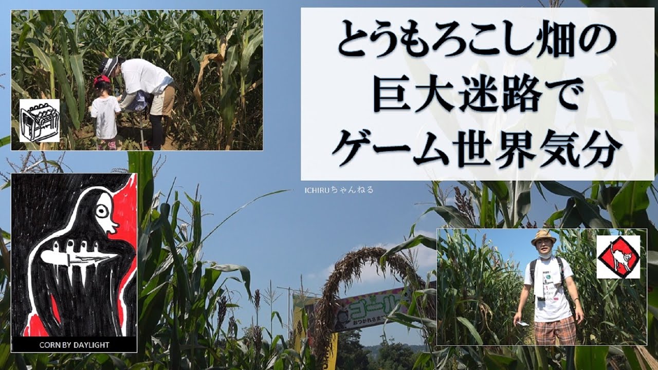 とうもろこし畑の巨大迷路でゲーム世界気分　CORN BY DAYLIGHT