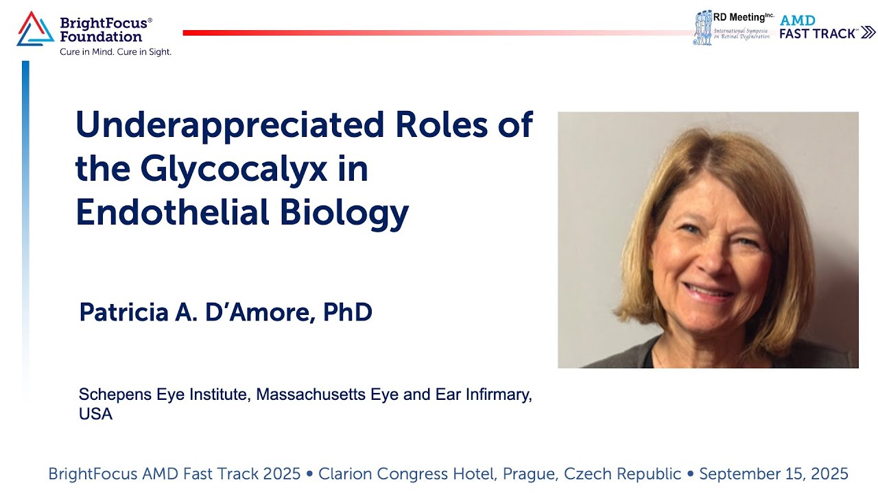 Session 5: Underappreciated Roles of the Glycocalyx in Endothelial Biology