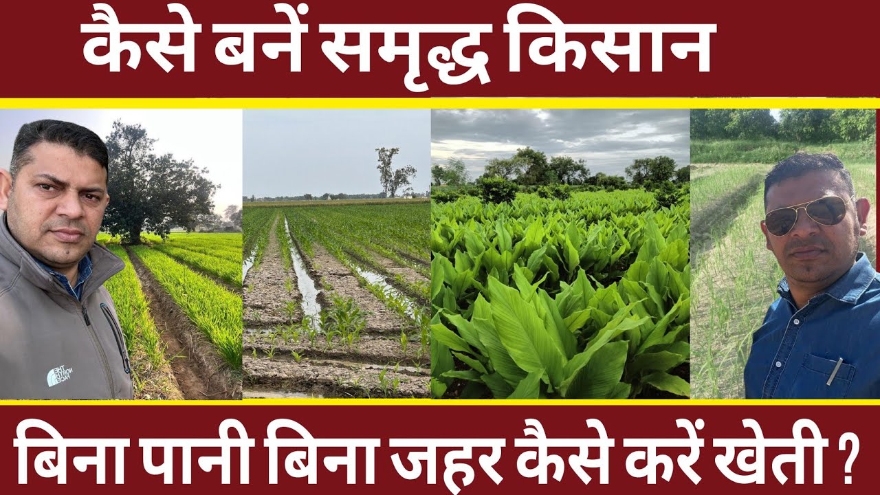 कैसे करें बिना जहर बिना सिंचाई के खेती दुगनी पैदावार?