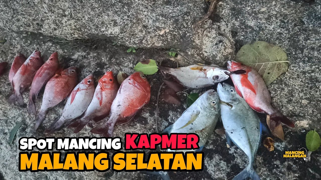 SALAH 1 SPOT MANCING IKAN KAKAP MERAH DI MALANG SELATAN - Mm Eps. 194