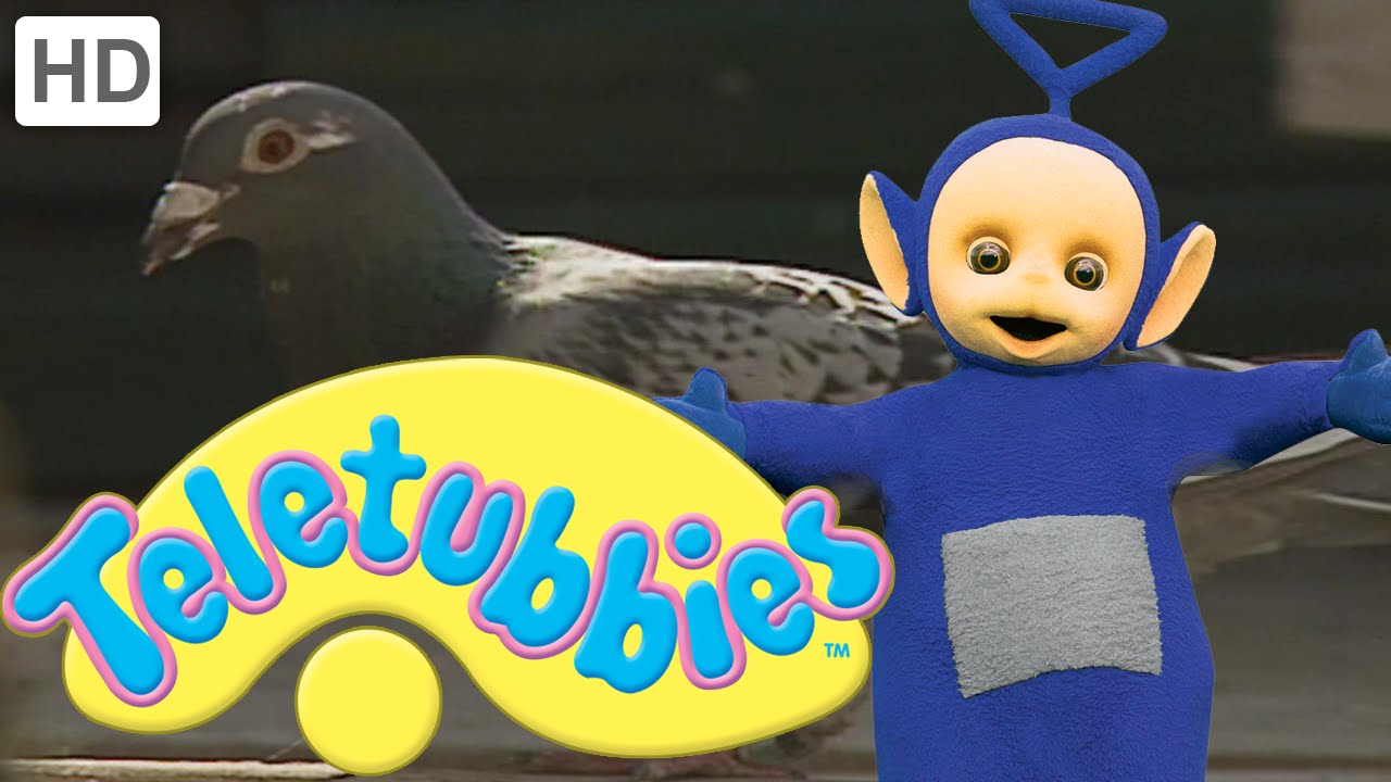 Teletubbies: Grandad's Pigeons - Full Episode