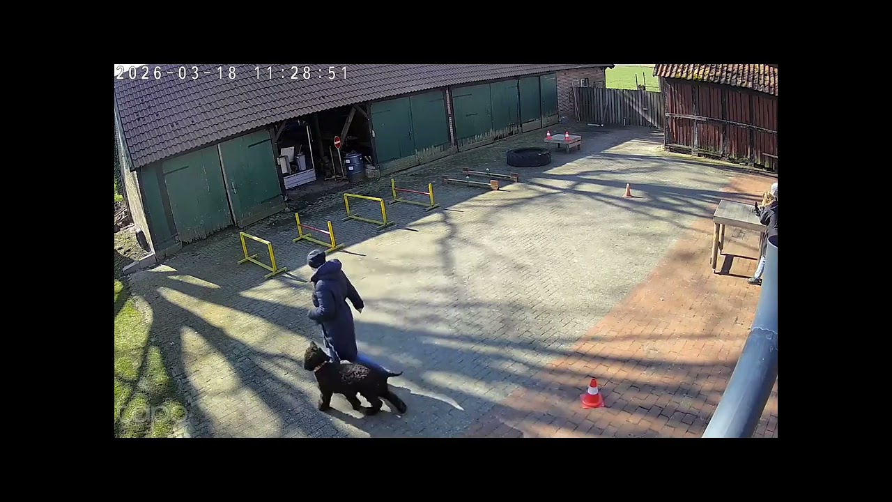 Hundeschule Wolf und Co am 18.März.2026 #hundepension #hundeschule #hundefutter