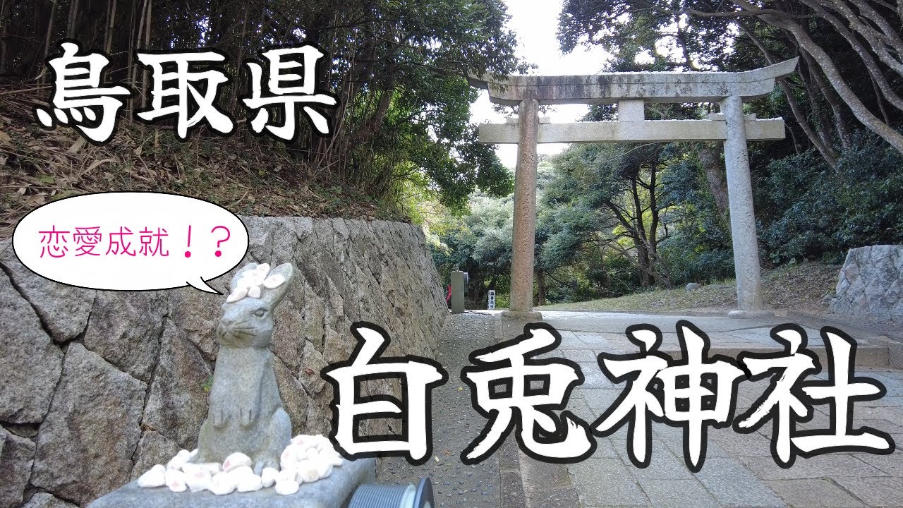 【鳥取県】ご利益最強！？白兎神社で良縁祈願/結び石チャレンジ/白兎海岸【ぽっちゃりアラサーのぼっち旅】