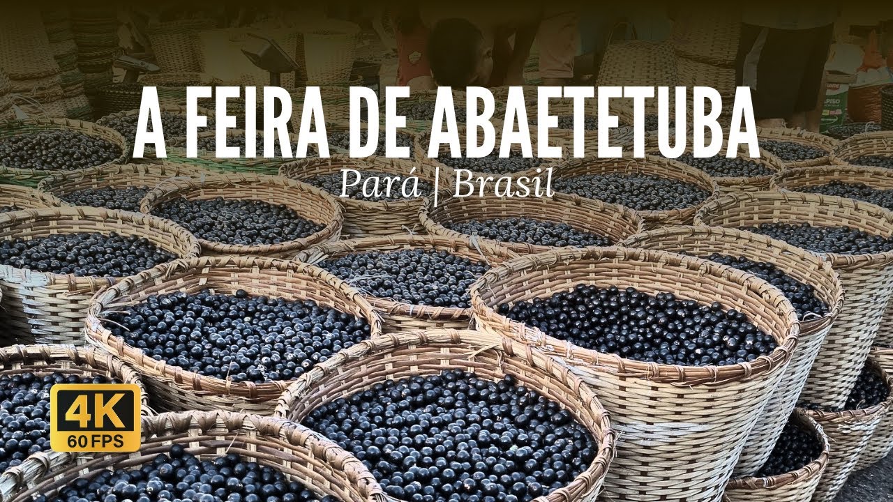 🇧🇷 One of the largest açaí producers in Brazil | Abaetetuba, Pará | 4K 60fps