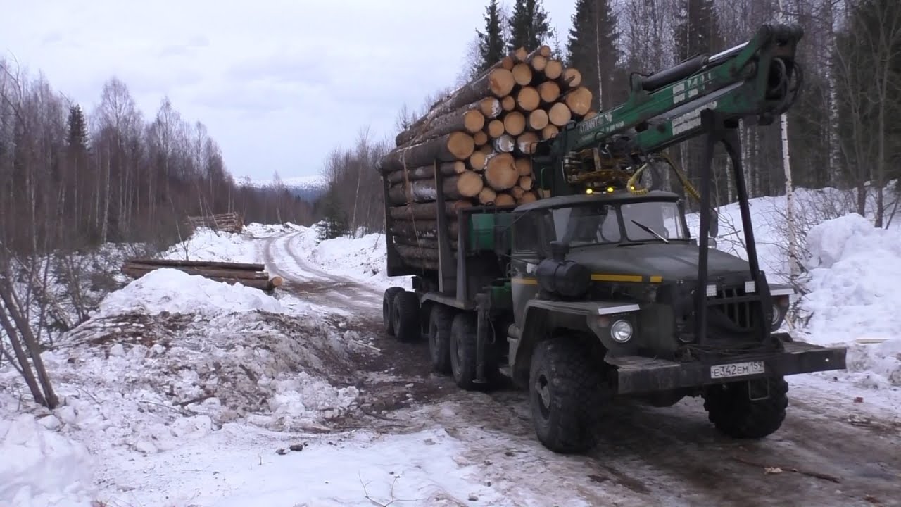 Закончил сезон 2024-25 года. Урал лесовоз.