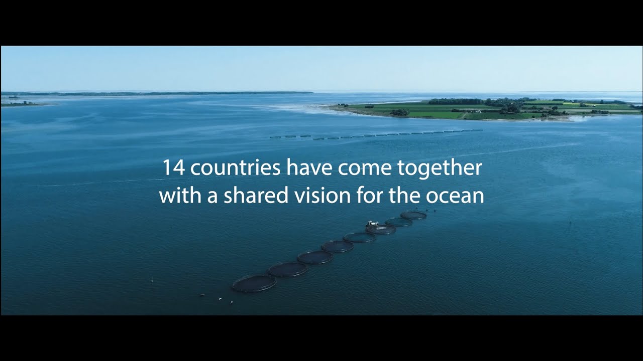 Towards a Sustainable Ocean Economy