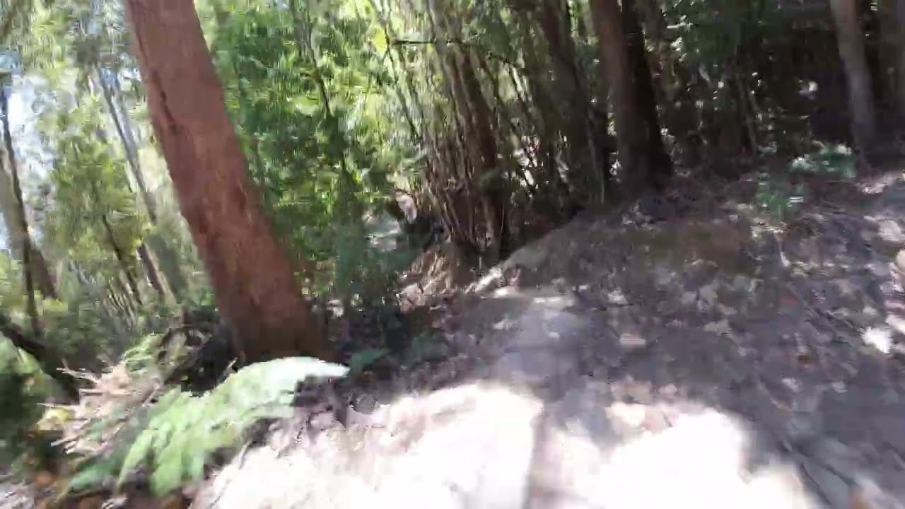 Maydena Bike Park - The Local