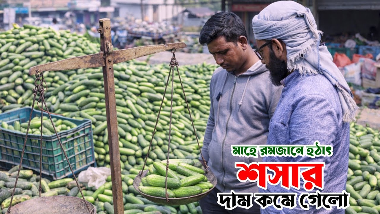 মাহে রমজানে হঠাৎ শসার দাম কমে গেলো  | শসা চাষ পদ্ধতি  |  sosa chas poddhoti  | Kurigram news today 