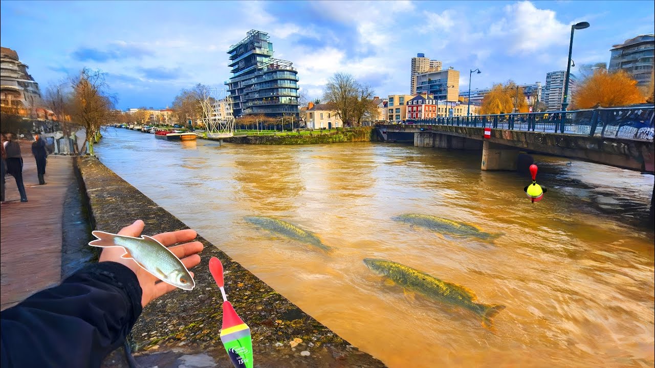 FERMETURE 2026 PÊCHE au VIF : je deviens FOU !!