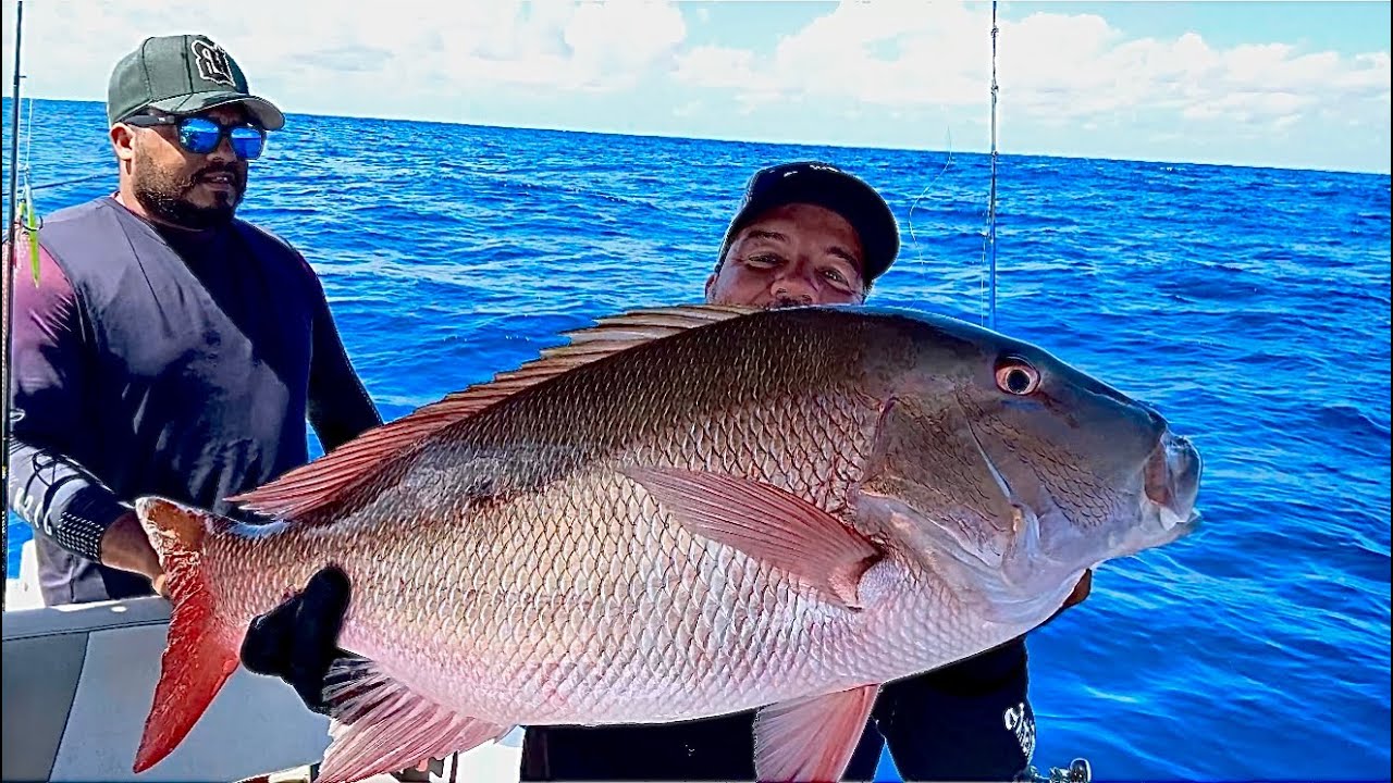 AS VERMELHAS ESTÃO APARECENDO COM FORÇA, ENTÃO BORA APROVEITAR 🎣