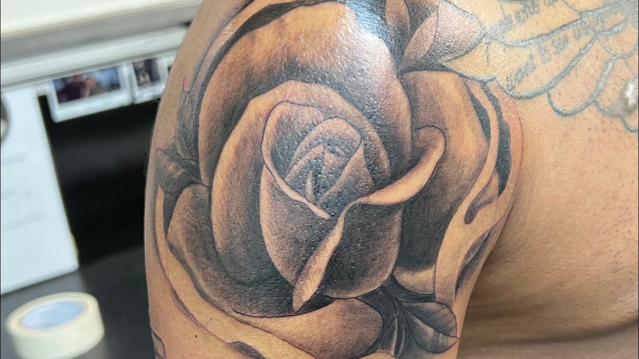Black and Grey Rose, Ambition Mars-U (Timelapse)