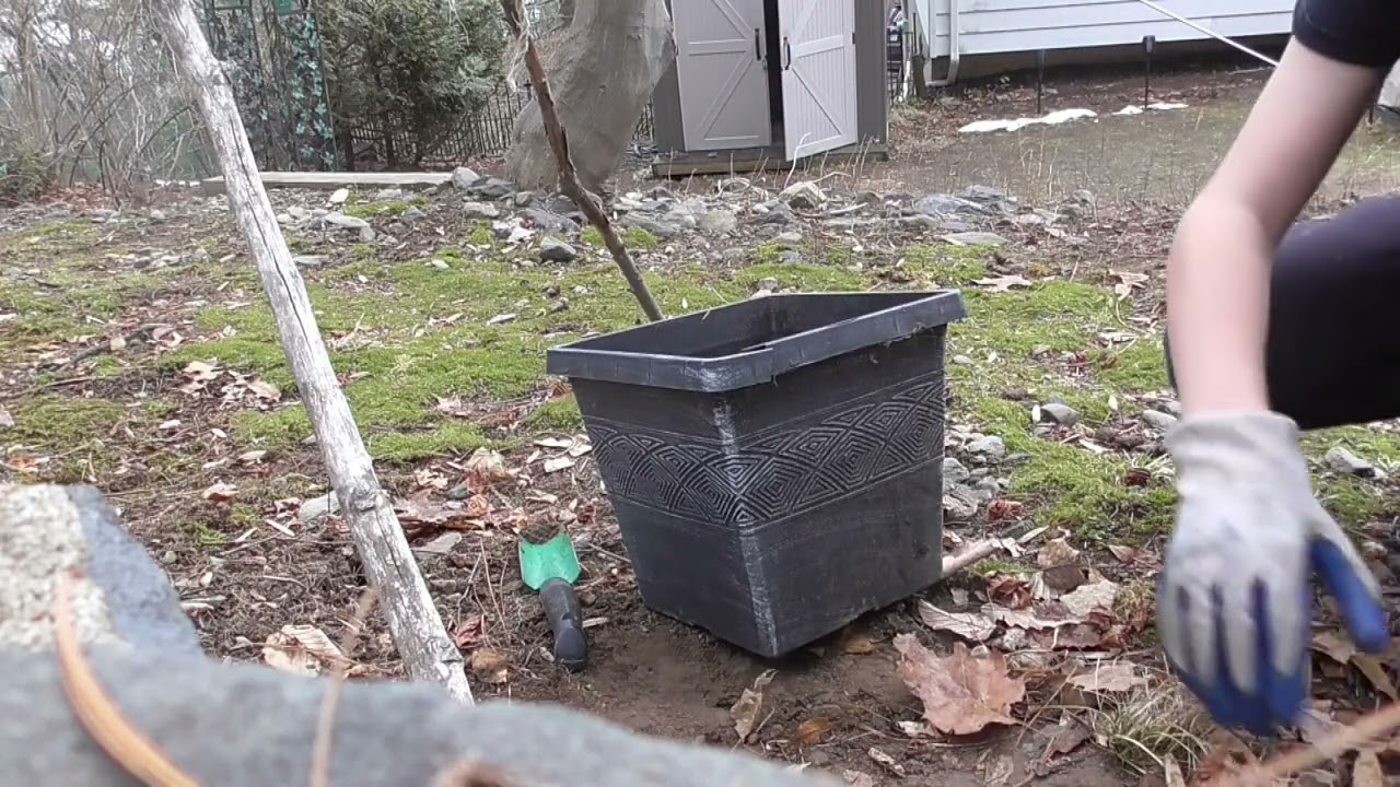 Working on Tent Build