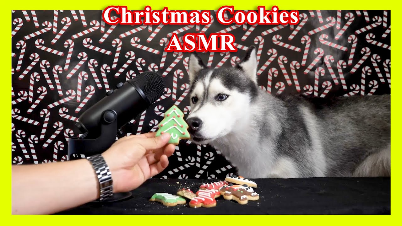 Christmas Cookies For Dogs ASMR
