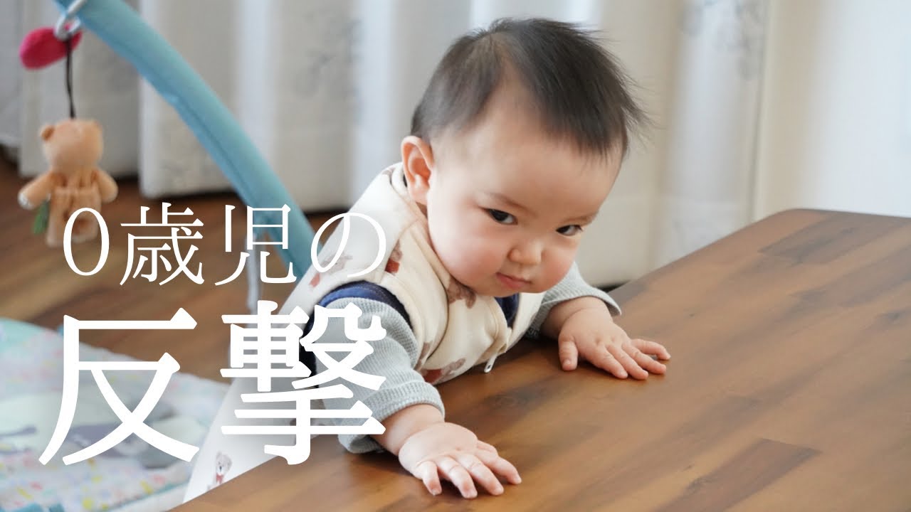 【離乳食】手掴み食べに苦戦してニンジンに八つ当たり？まさかの行動に出る0歳児！