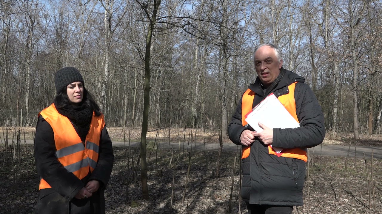 Amphibienschutz am Schleipfuhl