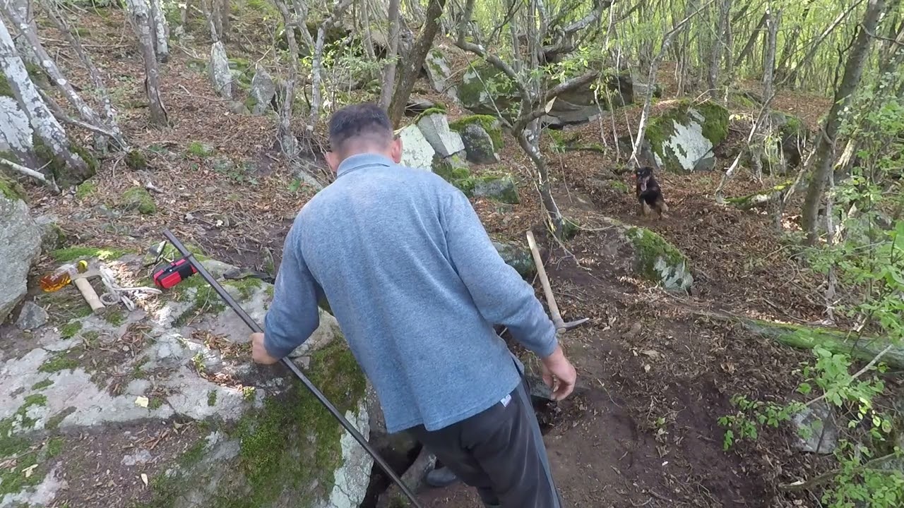 jamarenje jazavca 56 - lovacka grupa corak