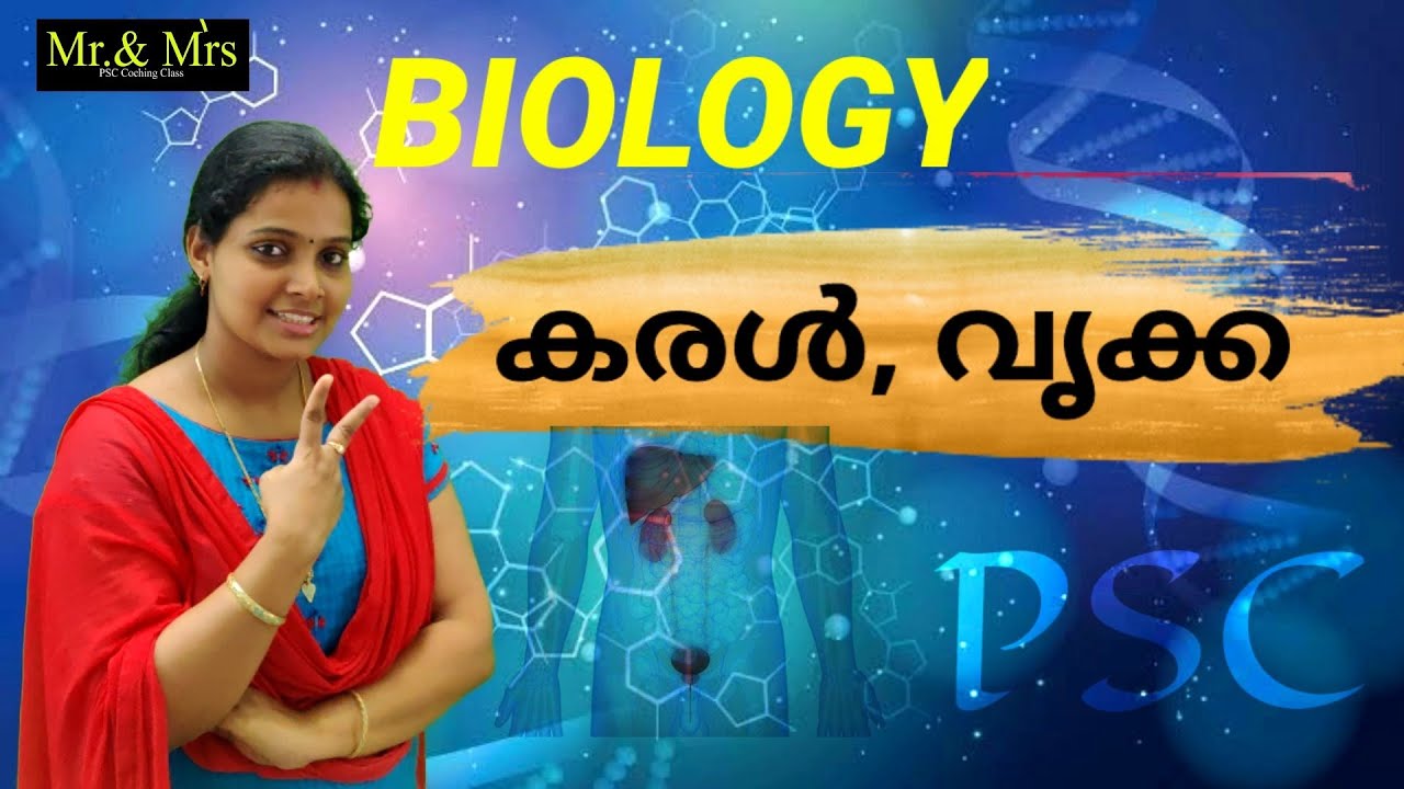 കരൾ, വൃക്ക ( Liver, Kidney ) Diagram കണ്ടു വെക്തമായി പഠിക്കാം.. ഇനി മറക്കില്ല / Kerala PSC / SCHOOL