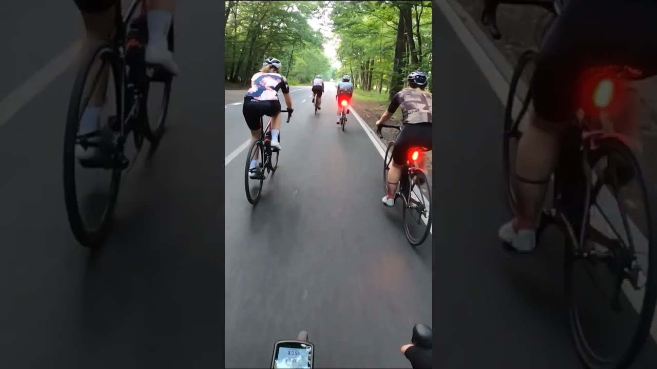 Damy na Szosach #shorts #kolarstwo #roadcycling #damynaszosach #babskakorba