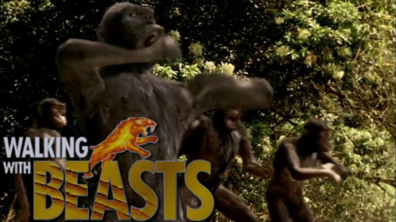 Australopithecus Battle, Walking With Beasts (2001) 
