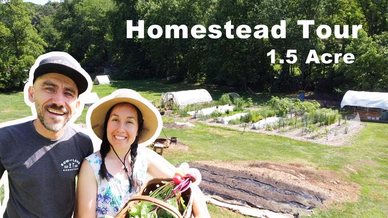Family Left California to HOMESTEAD on 1.5 Acres Four Years Ago
