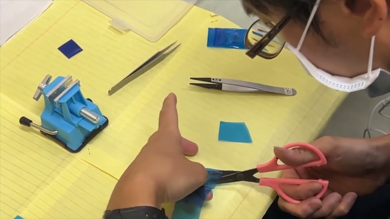 Exfoliation demonstration (1T-MoTe2 on chip)