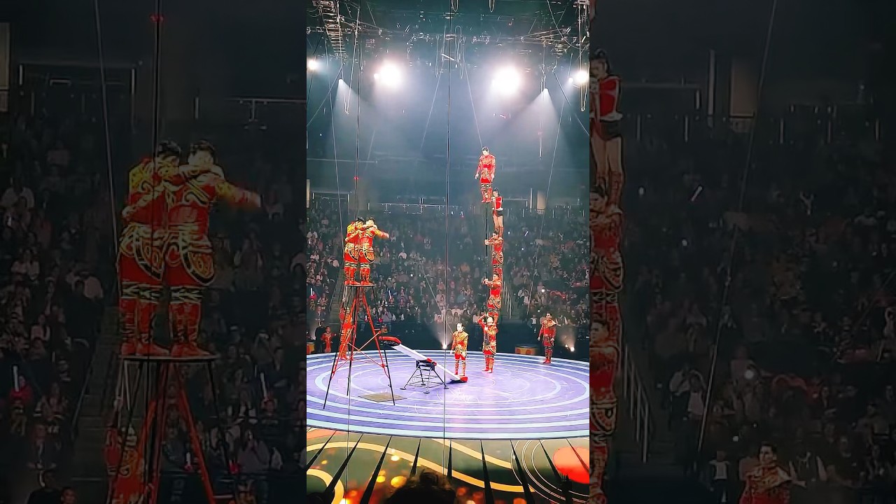 🤩Troupe Brothers Stunt: Insane Teeterboard Acrobatics!