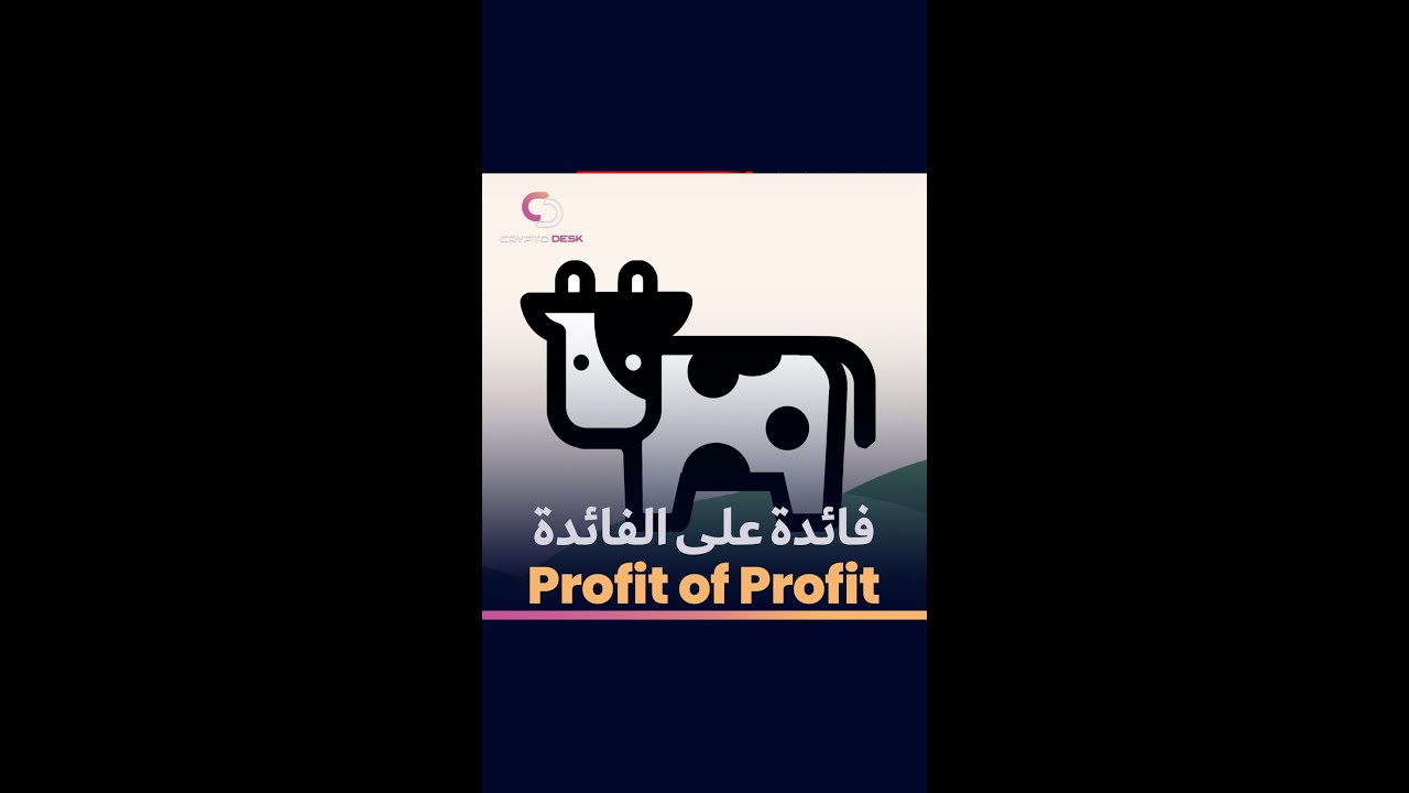 beefy finance review | how does beefy finance work?