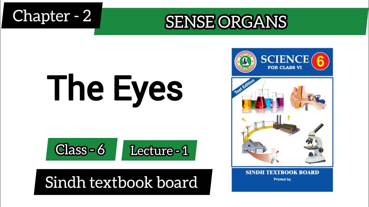 Sense Organs – The Eye | class 6 |Chapter 2 Lecture 1 | Sindh Textbook