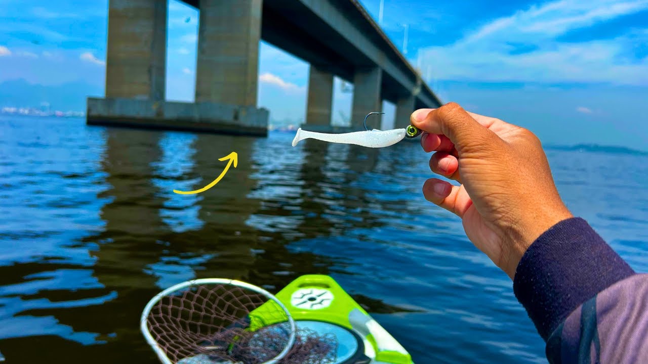 ESSA ISCA PEGA MUITO ROBALO ! PESCARIA PONTE RIO NITERÓI