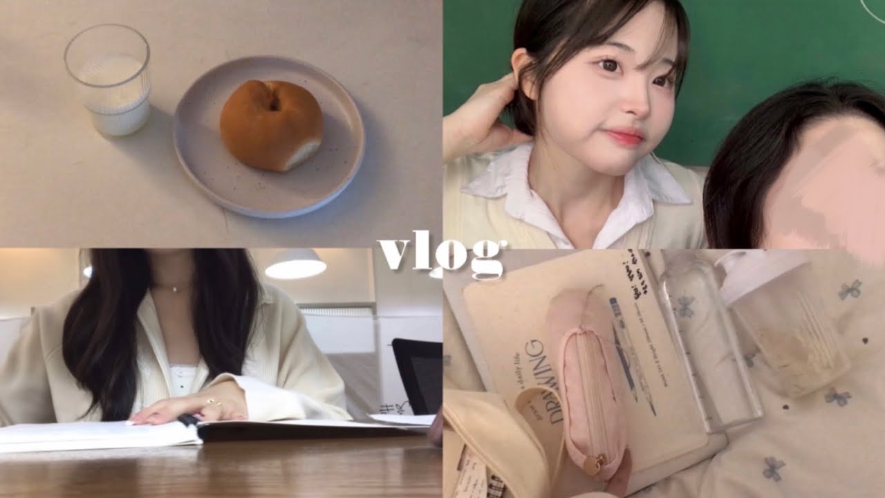 VLOG 수능 전 최최최종 마지막 공부 브이로그...🤯 수능 날까지 멘탈 + 일과 관리법 공유  |  07년생 고3 브이로그  STUDENT VLOG