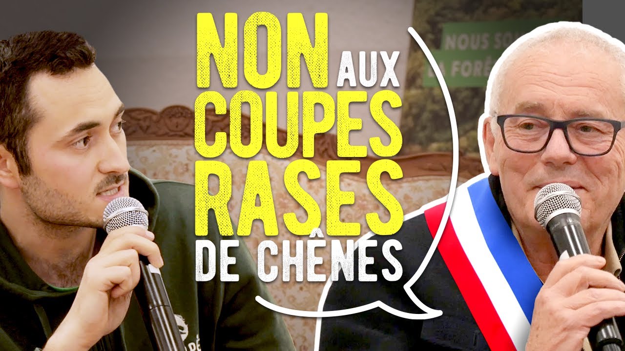 Coupes rases : le pouvoir méconnu des maires