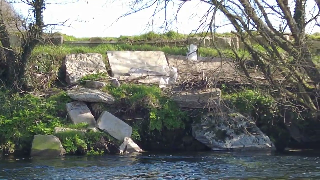 Black Mink spotted on the Bandon River, West Cork, Ireland