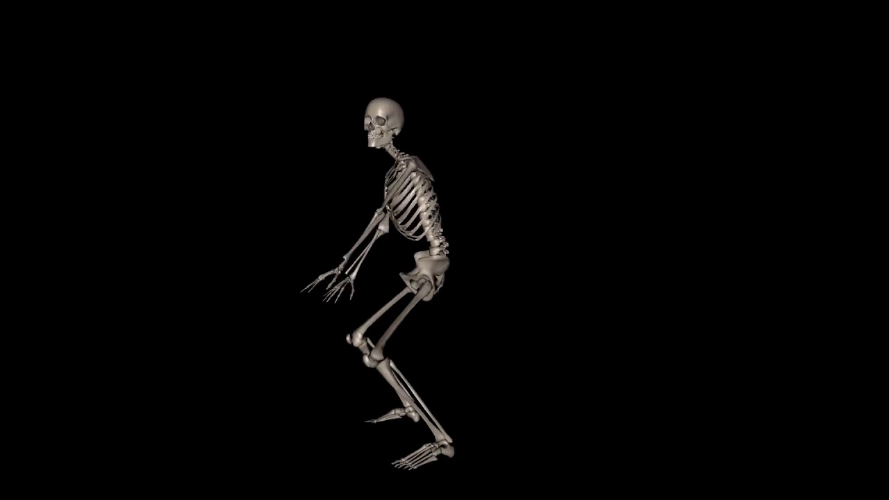 haddi Wala dance black screen