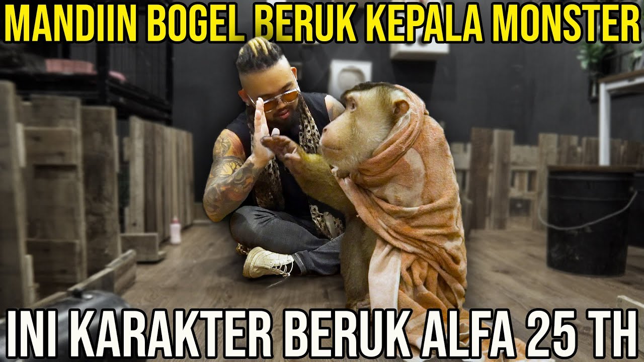 MANDIIN BOGEL BERUK KEPALA MONSTER. INI KARAKTER BERUK ALFA 25 TH #AudreyA #KINGOFTHEJUNGLE