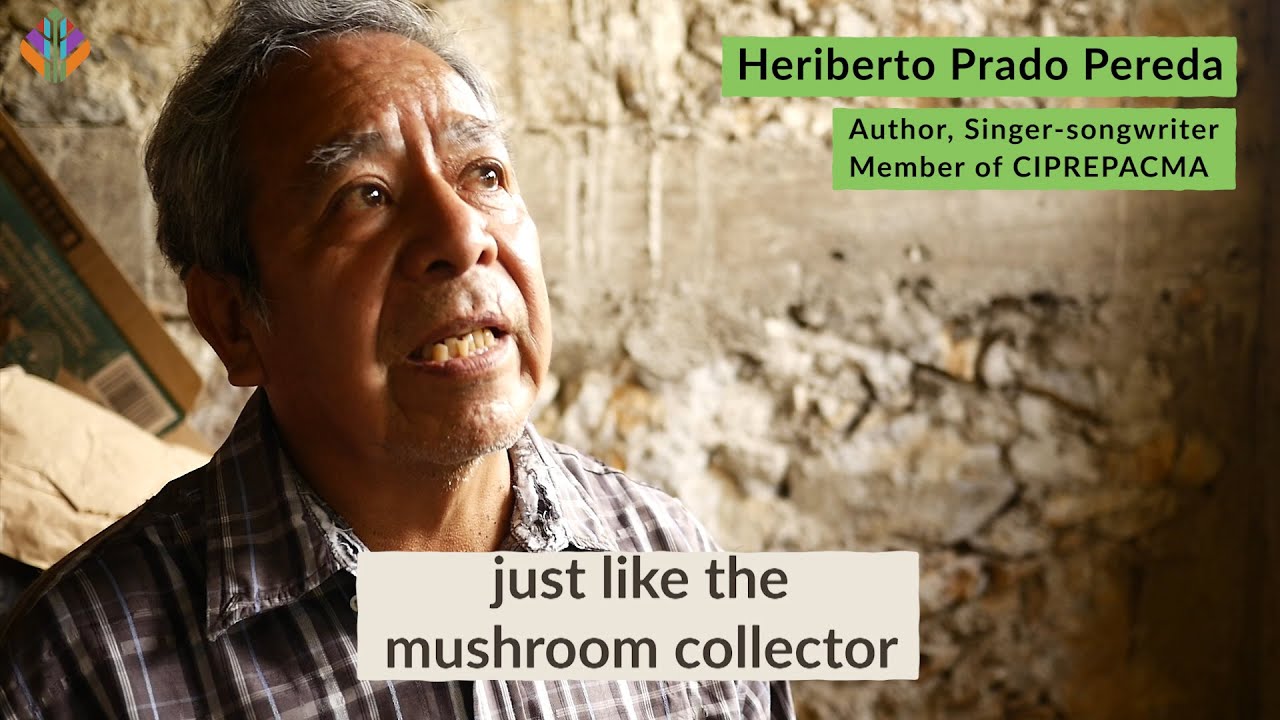 Heriberto on commodifying mushrooms - CIPREPACMA Mazatec A.C., Indigenous Reciprocity Initiative