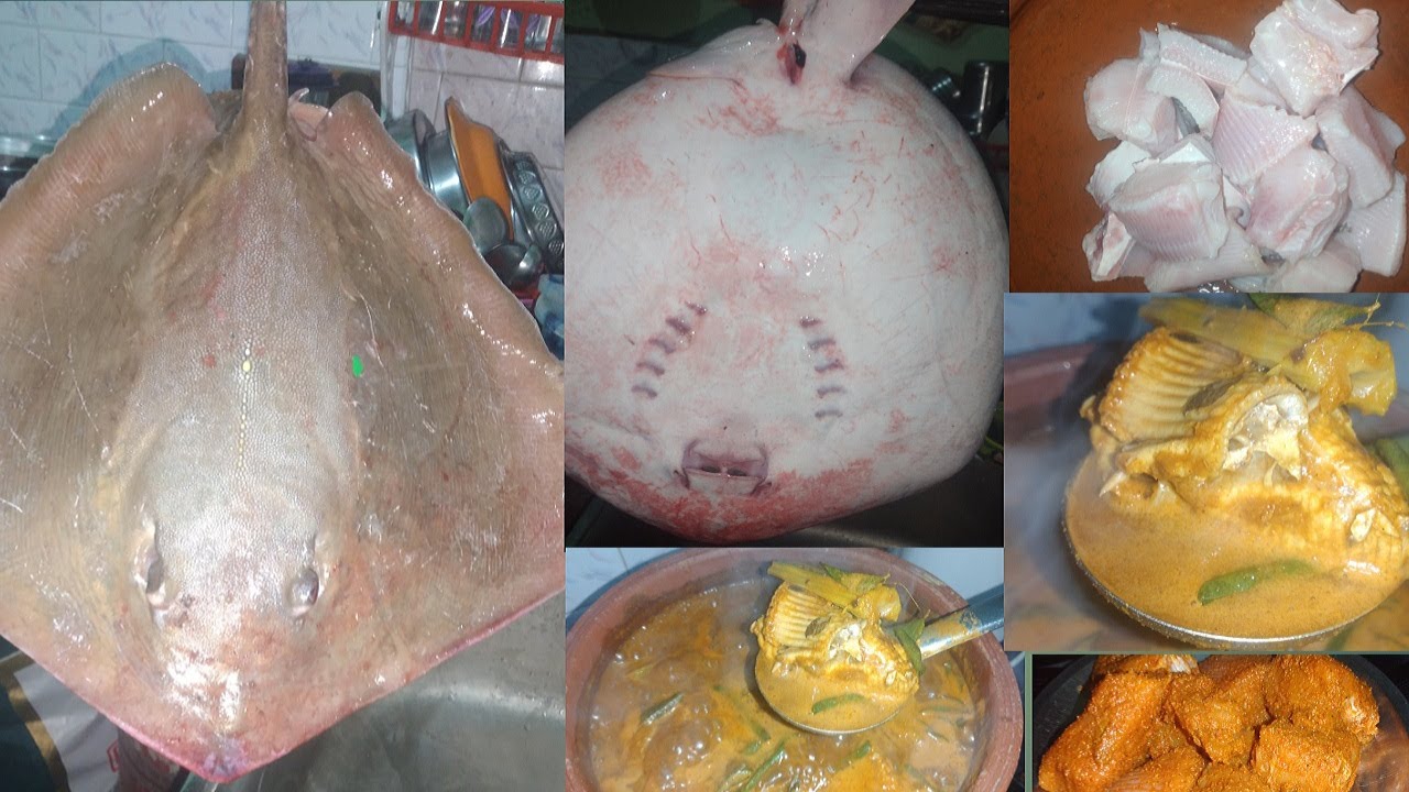 THIRACHI MEEN KULAMBU | THIRUKKAI MEEN CURRY | STRINGRAYS FISH CURRY | IN TAMIL | BEING A MOMMY