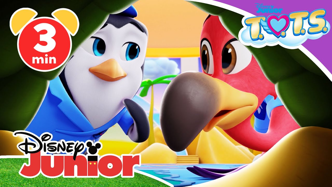 🐢 T.O.T.S. - Clip: Schildi | Disney Junior