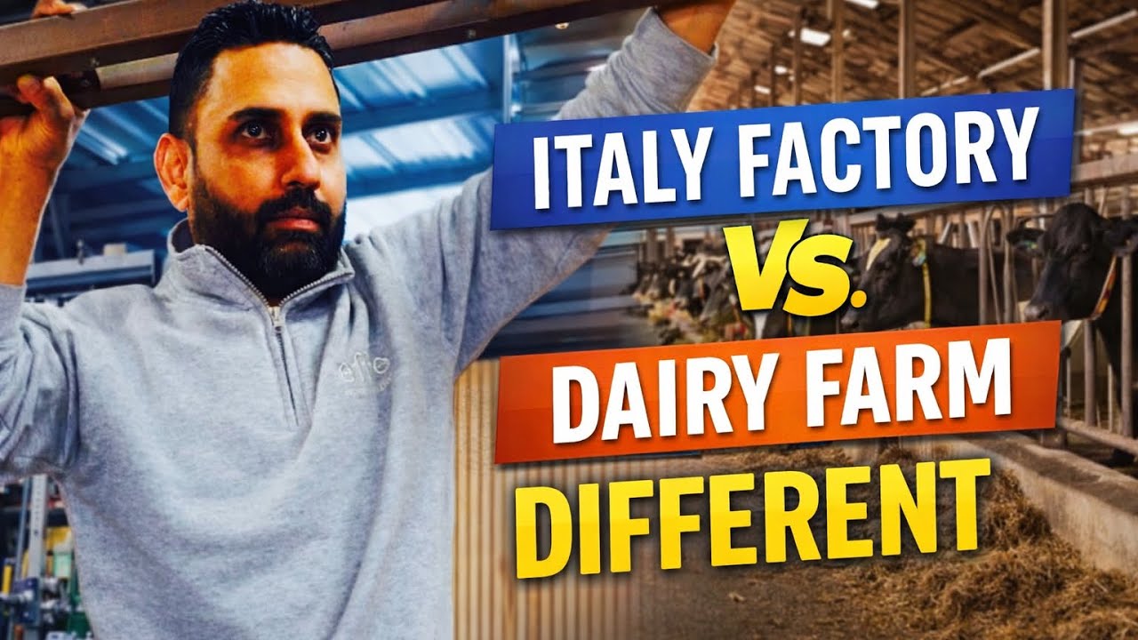Italy factory ਤੇ Dairy Farm selary ਕਿਨੀ ਮਿਲਦੀ ਹੈ ਕੀ Different ਹੈ #punjabi vlog Italy 🇮🇹 