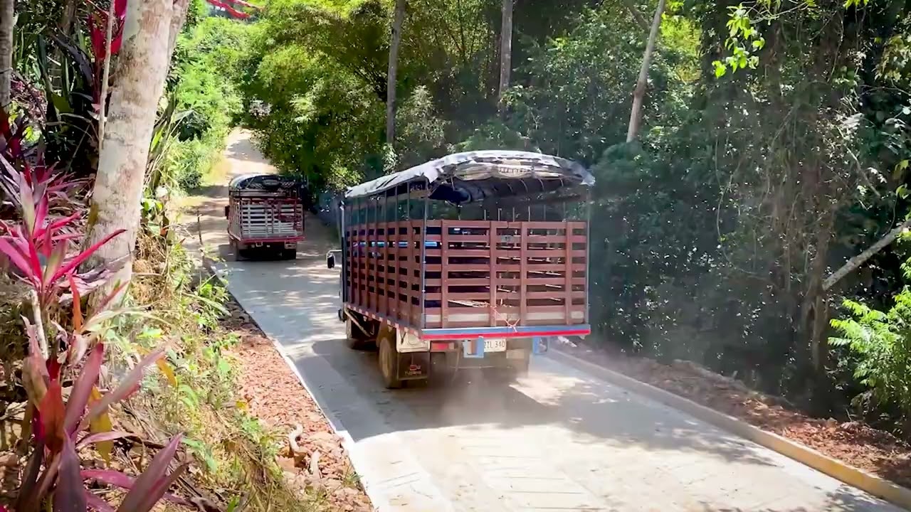 VIDEO RIONEGRO SANTANDER