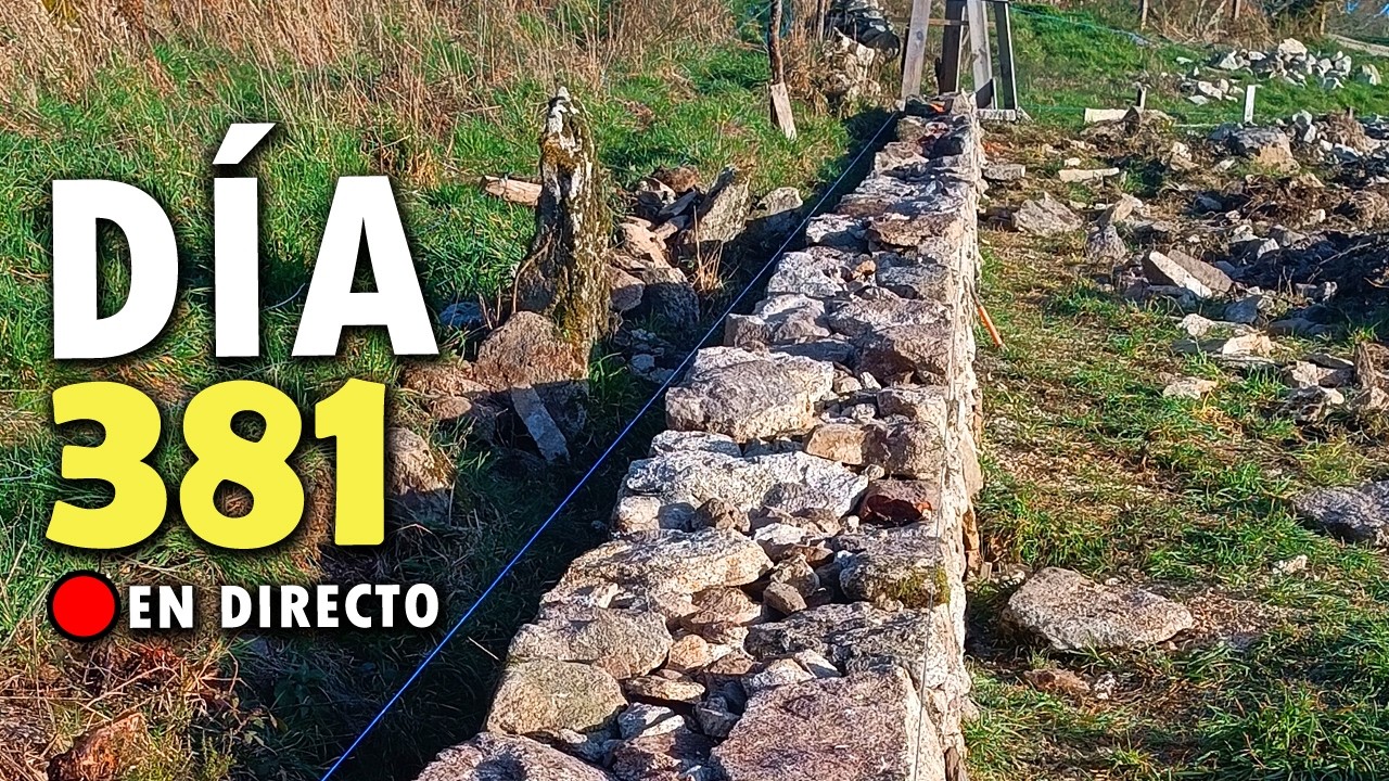 Día 381 | Construyendo un MURO de PIEDRA | Proyecto Autosuficiente IRL