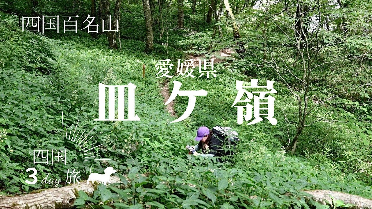 【皿ヶ嶺】夏の四国旅。山を愛する人に導かれ花をめぐる出会いの1日【愛媛県登山】
