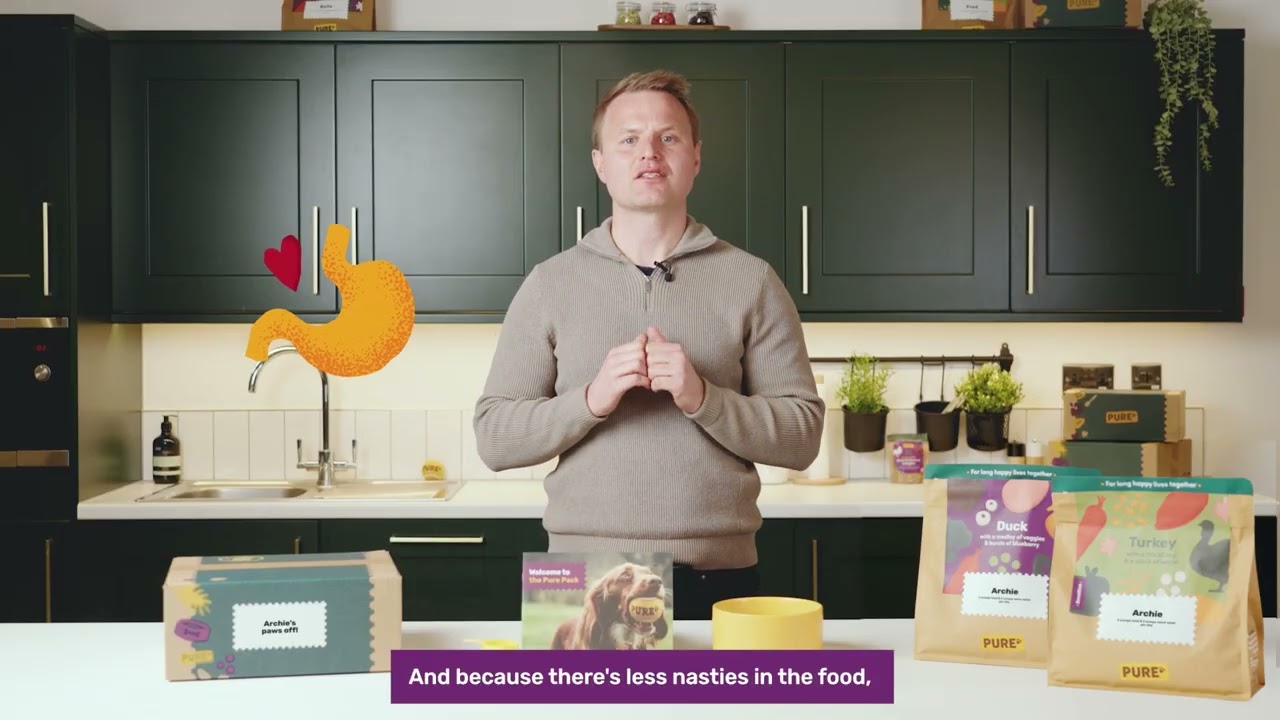 How to feed Pure Pet Food