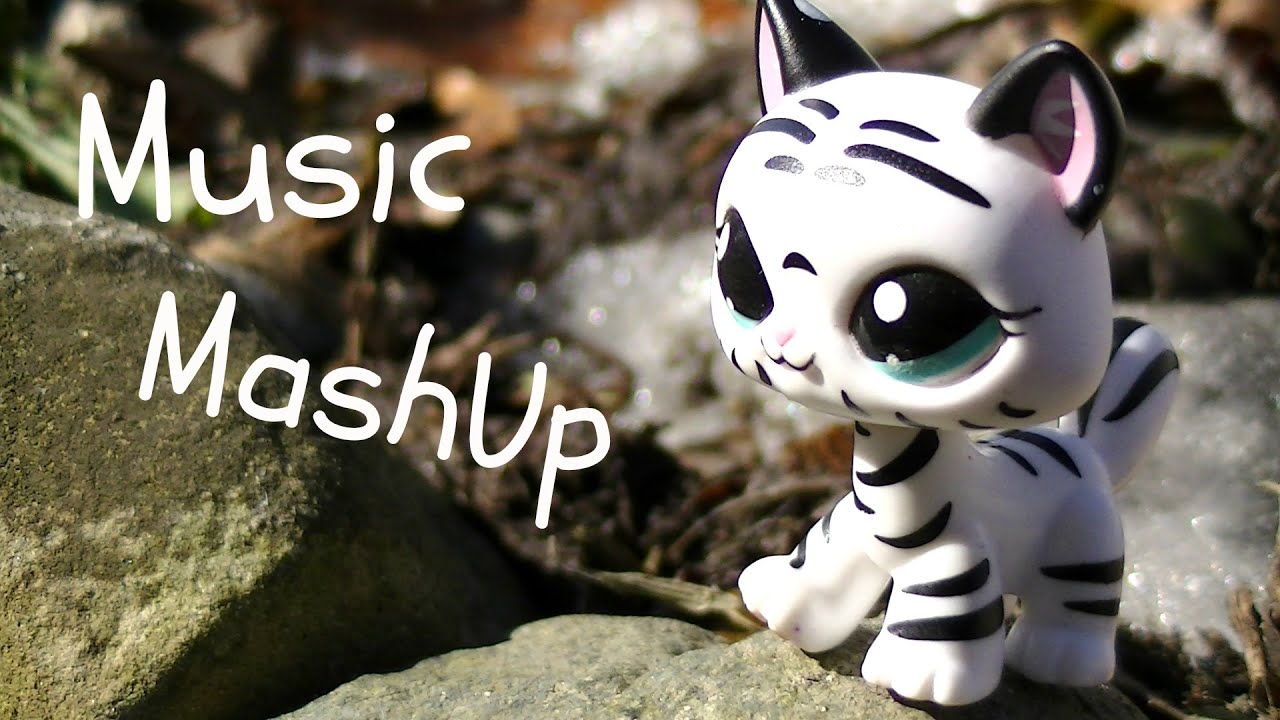 LPS~Music MashUp