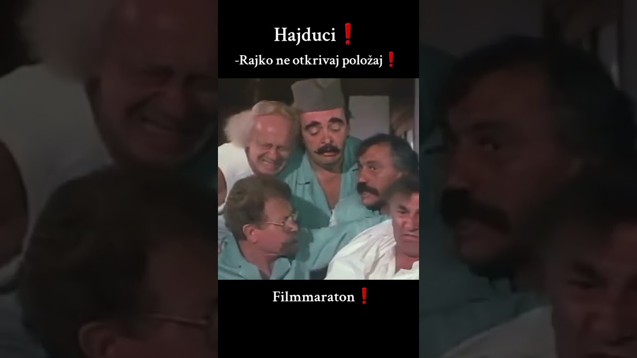 Zikina Dinastija- Hajduci