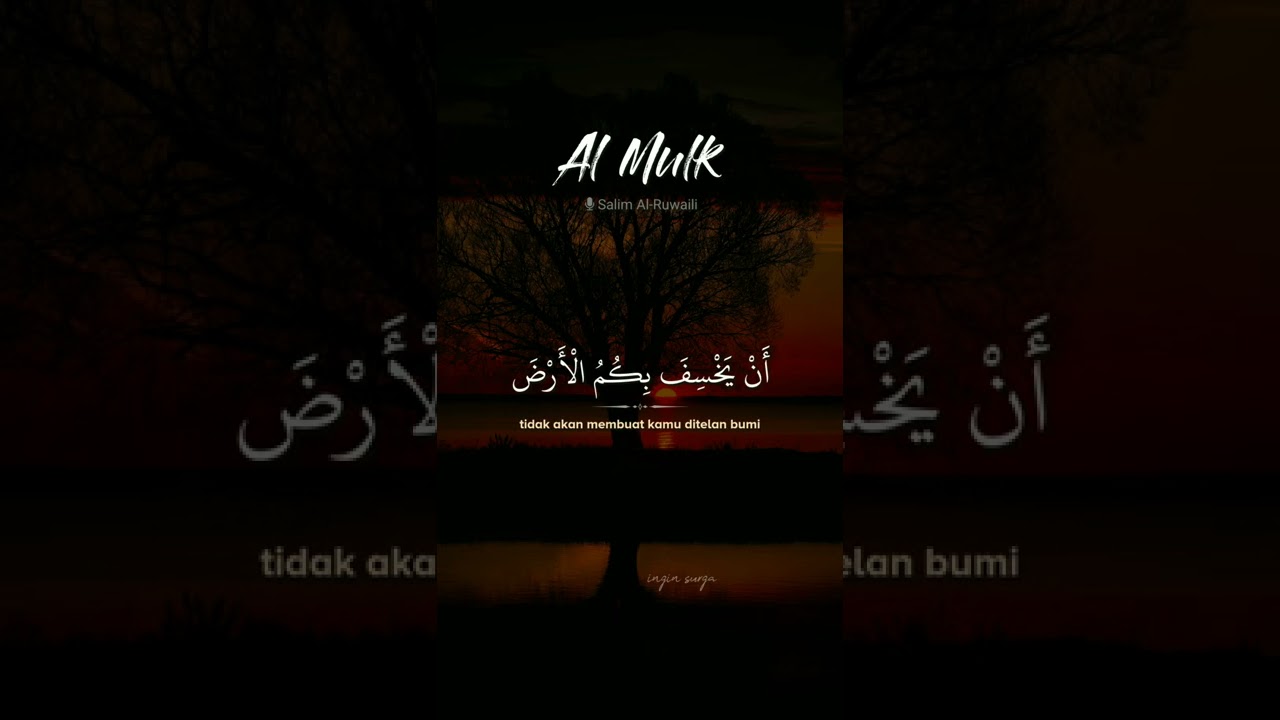 Al Mulk   Salim Al Ruwaili