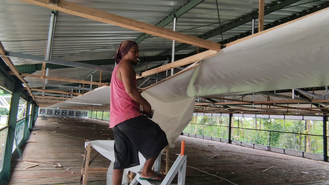 pasang plafond terpal