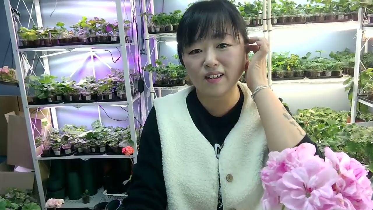 감기조심하세요 ```